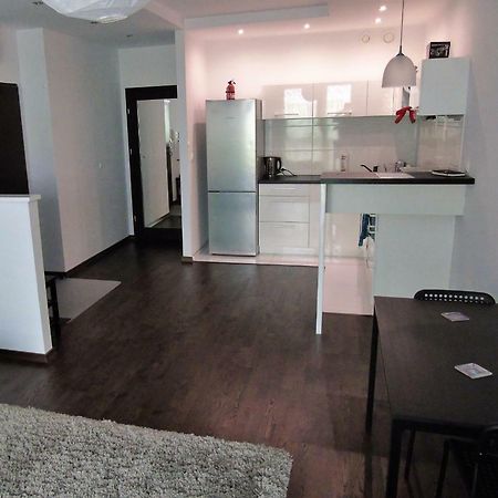 Mone - Fajny Apartament W Centrum Wroclawia מראה חיצוני תמונה