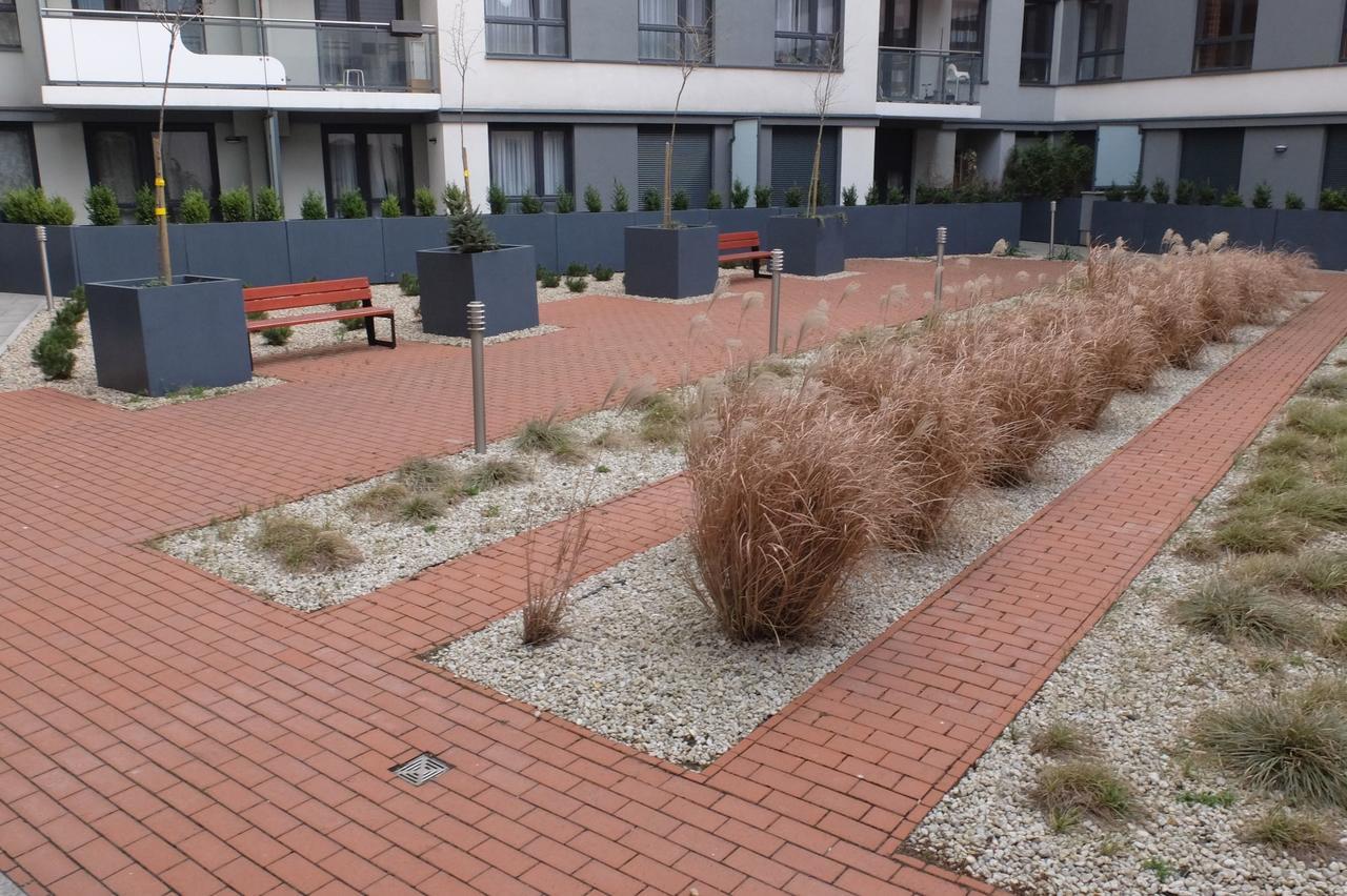 Mone - Fajny Apartament W Centrum Wroclawia מראה חיצוני תמונה